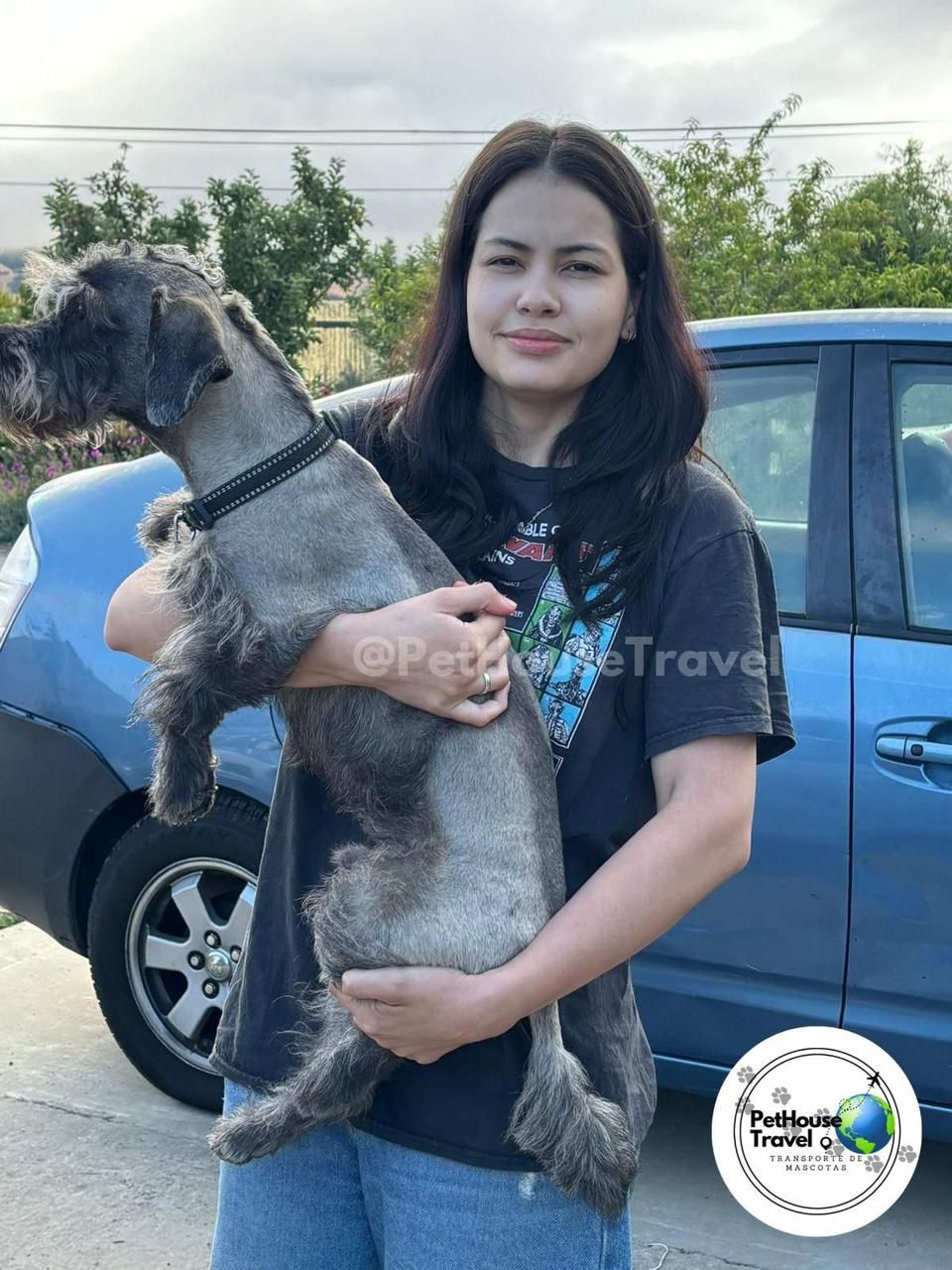 Mujer abrazando a su schnauzer antes del viaje