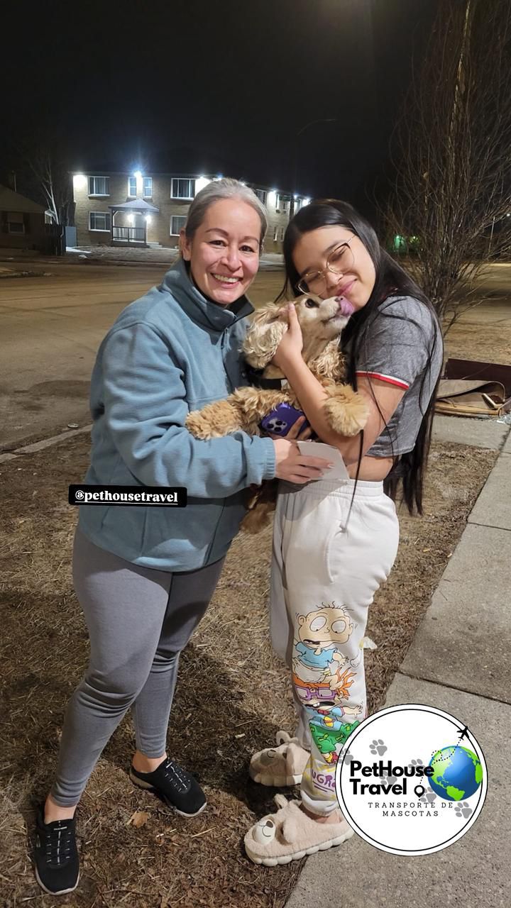 Reencuentro emocionante con la mascota