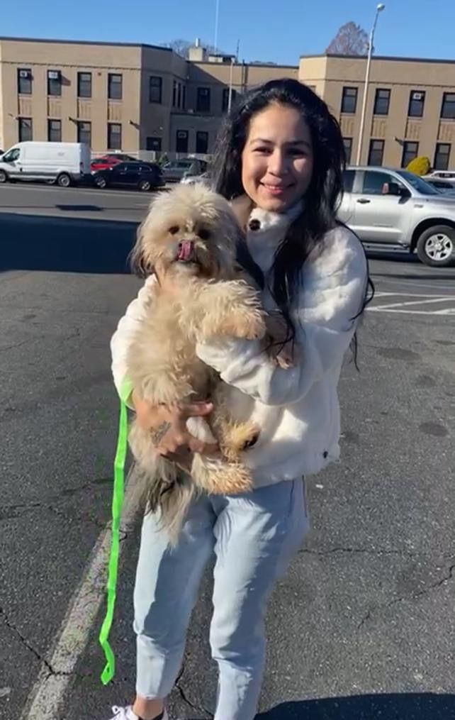 Mujer recibiendo a su shih tzu en destino